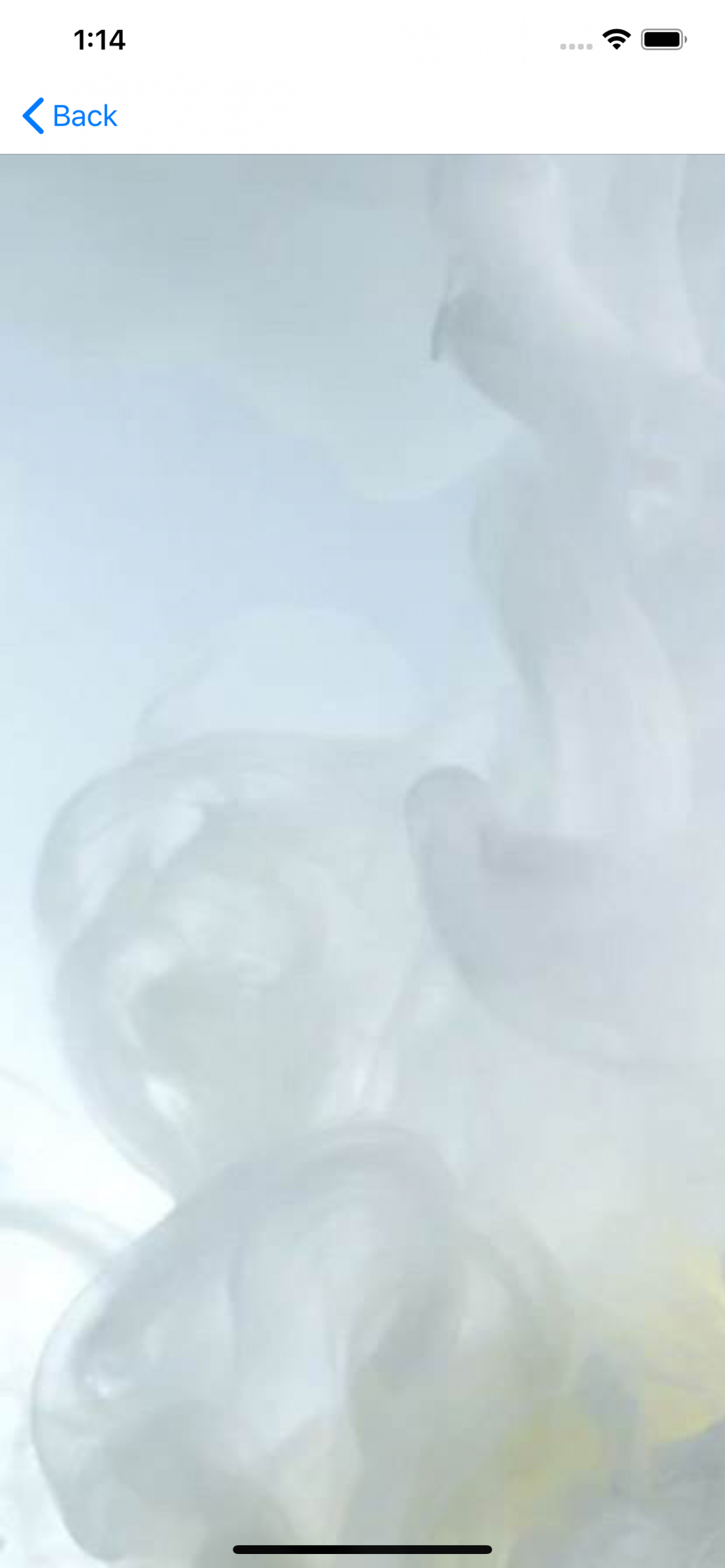 Xamarin Forms Converter for Button and Multi Triggers Easy MVVM Tutorials 14 to